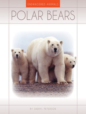 cover image of Polar Bears